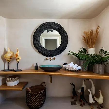 Villa Vayu Mykonos *